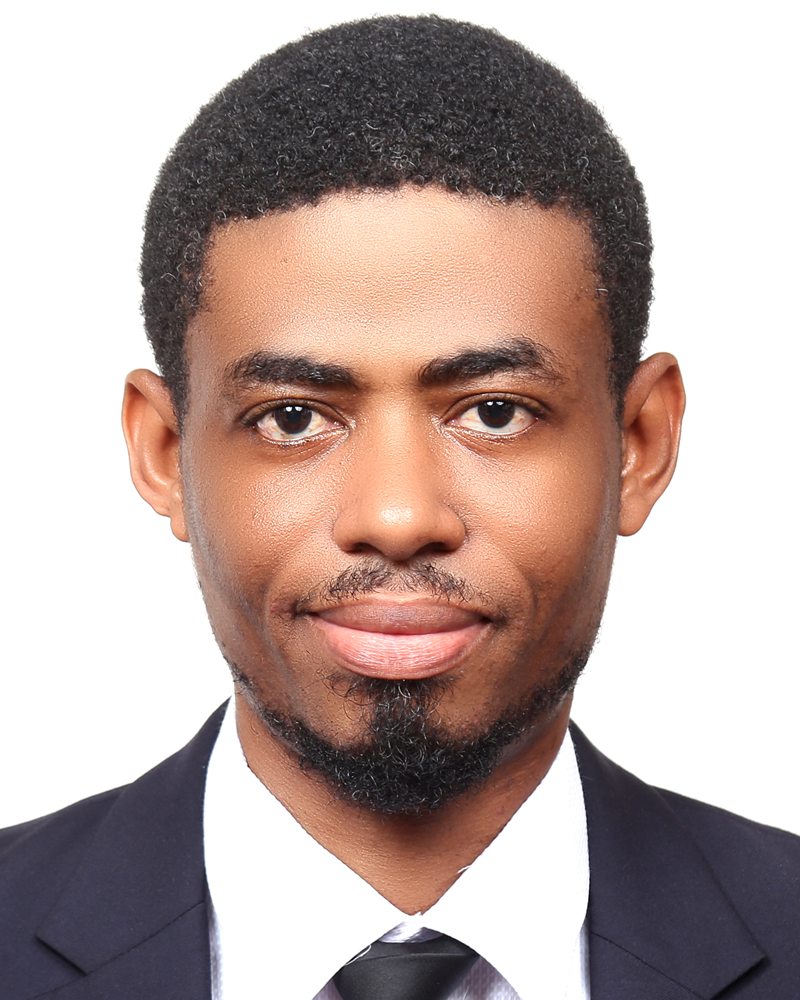 Solomon Addo Siau, Systems Architect and Digital Strategist